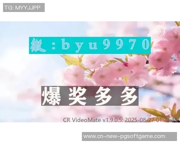 pg 麻将胡了-PG麻将高手之路，如何巧妙胡牌-pg 麻将胡了